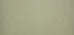 H2009