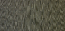 ZN1211
