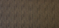ZN1213