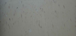 184