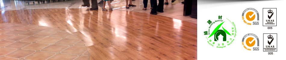 slideshow 2